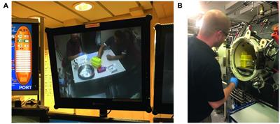 Hemoglobin During and Following a 4-Week Commercial Saturation Dive to 200 m